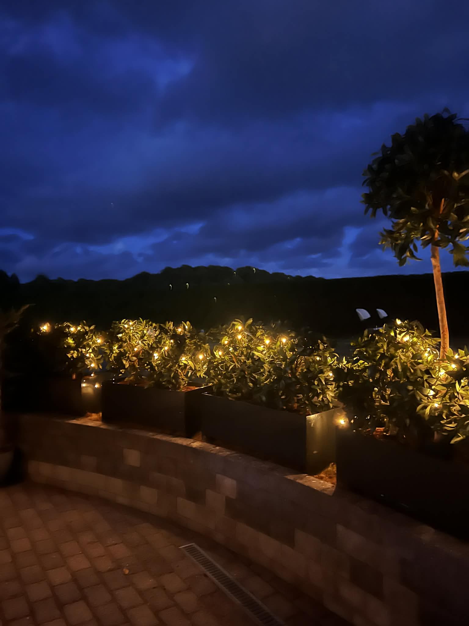 Plantekasser m. kunstige planter thumbnail 2