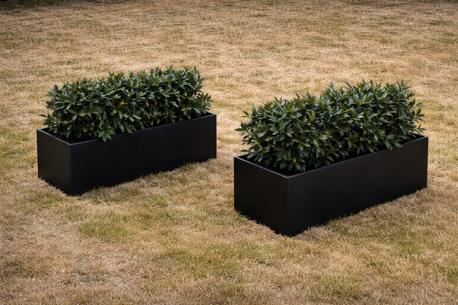 Eight shirts arranged on table in black, olive, grey, blue, white, red, mustard, and green.